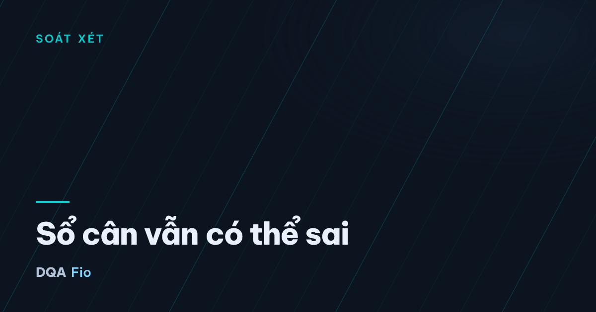 Sổ cân vẫn có thể sai — Chủ đề: Soát xét, Chứng từ